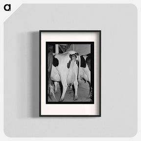 アートポスター-Cows of Canyon County
 - ラッセル リー Poster.