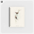 アートメモ帳-Painted Finch
 - オーストラリアの鳥 Memo.