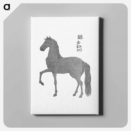 アートパネル-Horse Illustration from Narrative of the Expedition of an American Squadron to the China Seas and Japan
 - 大英図書館 Canvas.