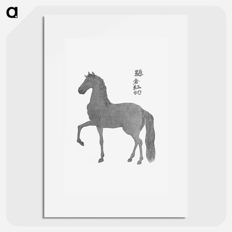 アートポスター-Horse Illustration from Narrative of the Expedition of an American Squadron to the China Seas and Japan
 - 大英図書館 Poster.