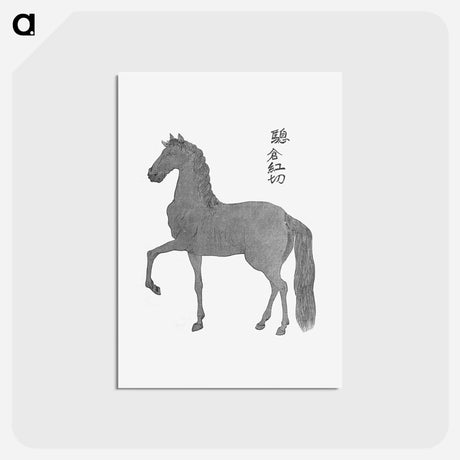 アートポストカード-Horse Illustration from Narrative of the Expedition of an American Squadron to the China Seas and Japan
 - 大英図書館 Postcard.