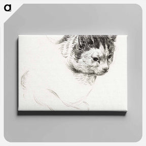 アートパネル-Sketch of a cat - ジャン ベルナール Canvas.