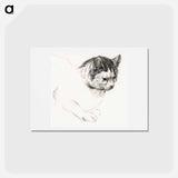 アートポストカード-Sketch of a cat - ジャン ベルナール Postcard.