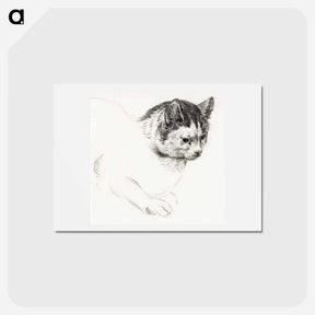アートポストカード-Sketch of a cat - ジャン ベルナール Postcard.