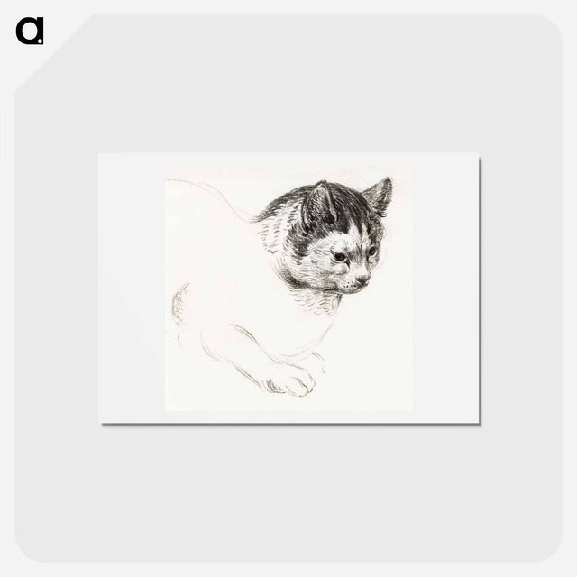 アートポストカード-Sketch of a cat - ジャン ベルナール Postcard.