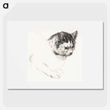 Sketch of a cat - ジャン ベルナール Poster.