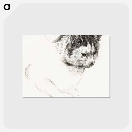 アートポストカード-Sketch of a cat - ジャン ベルナール Postcard.