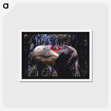4-10_John-Margolies_hagaki