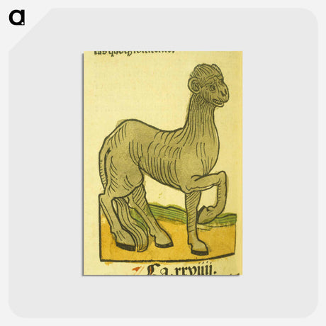 アートポストカード-Camelon
 - 国立医学図書館 Postcard.