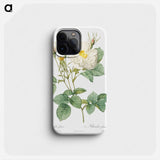 Rosa x alba - ピエール ジョゼフ ルドゥーテ Phone Case.