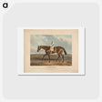 アートポストカード-Racing: Bloomsbury, Winner of the Derby Stakes at Epsom
 - イェール大学アートギャラリー Postcard.