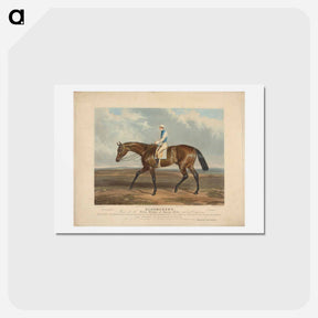 アートポストカード-Racing: Bloomsbury, Winner of the Derby Stakes at Epsom
 - イェール大学アートギャラリー Postcard.
