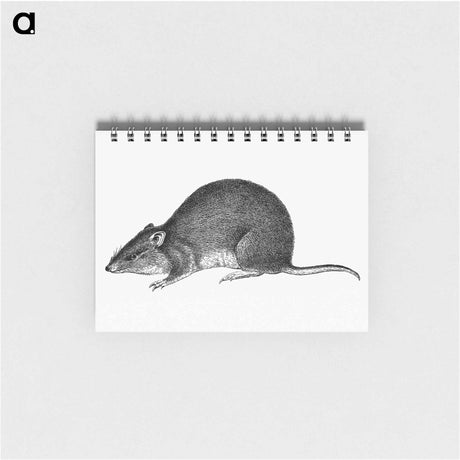 アートメモ帳-Bandicoot
 - 大英図書館 Memo.