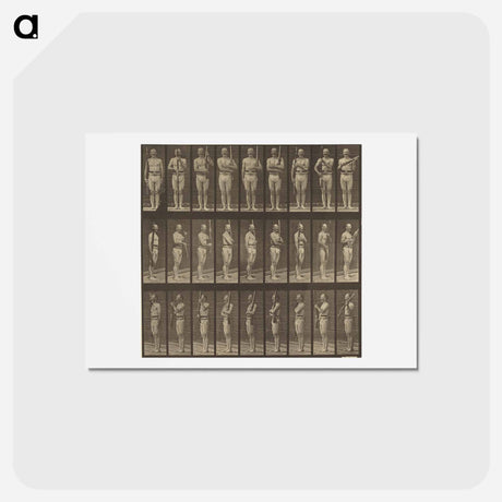 アートポストカード-Animal Locomotion
 - エドワード マイブリッジ Postcard.