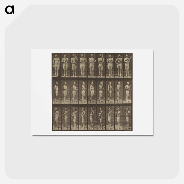 アートポストカード-Animal Locomotion
 - エドワード マイブリッジ Postcard.