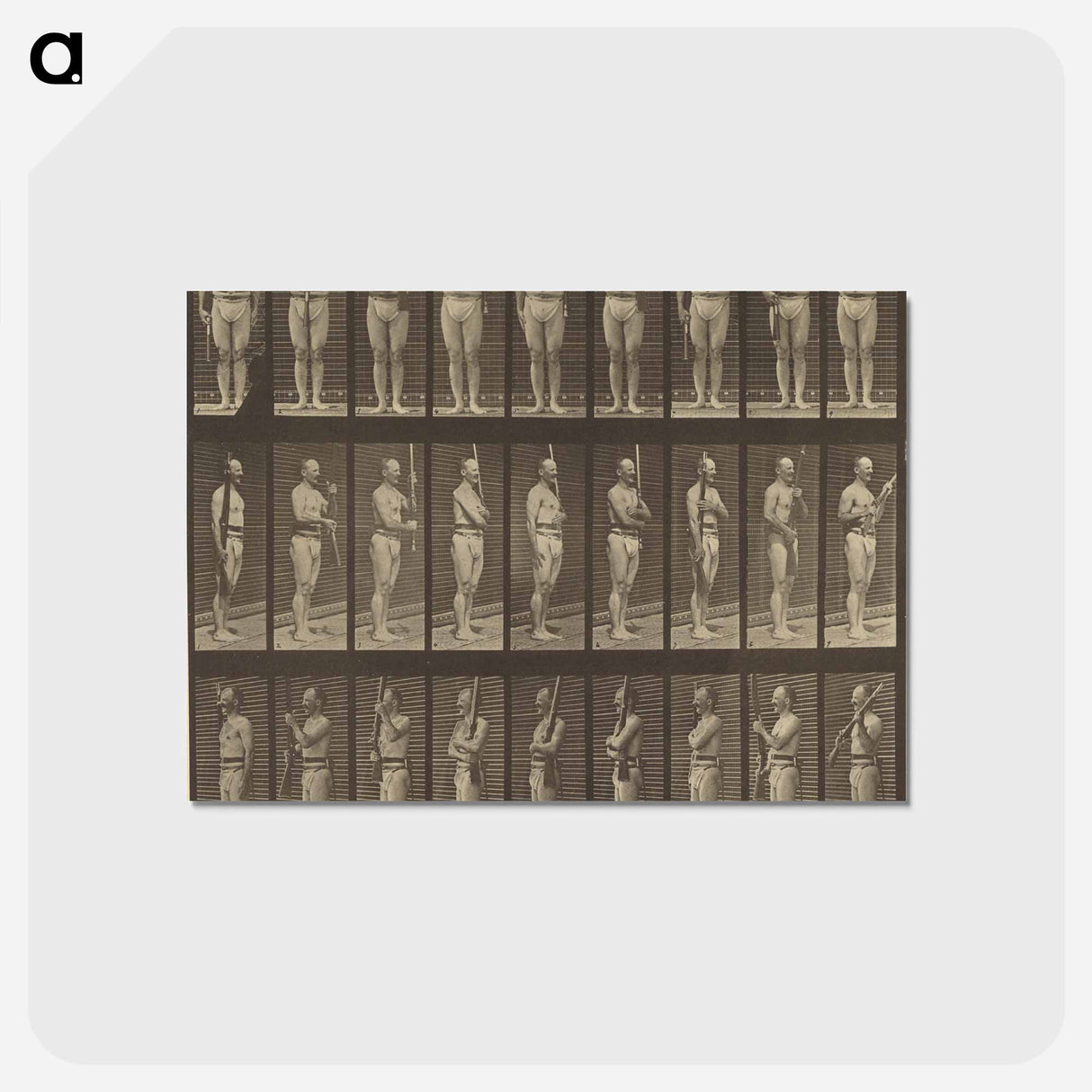 アートポストカード-Animal Locomotion
 - エドワード マイブリッジ Postcard.