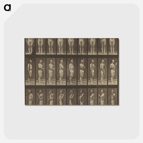 アートポストカード-Animal Locomotion
 - エドワード マイブリッジ Postcard.