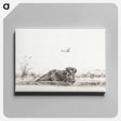 アートパネル-Cow in the water - ジャン ベルナール Canvas.