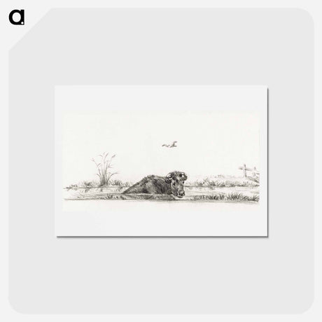 アートポストカード-Cow in the water - ジャン ベルナール Postcard.