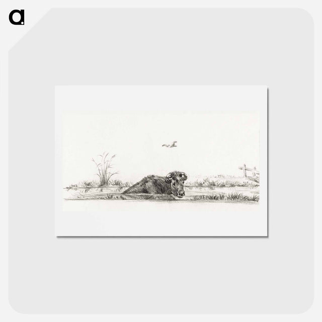 アートポストカード-Cow in the water - ジャン ベルナール Postcard.