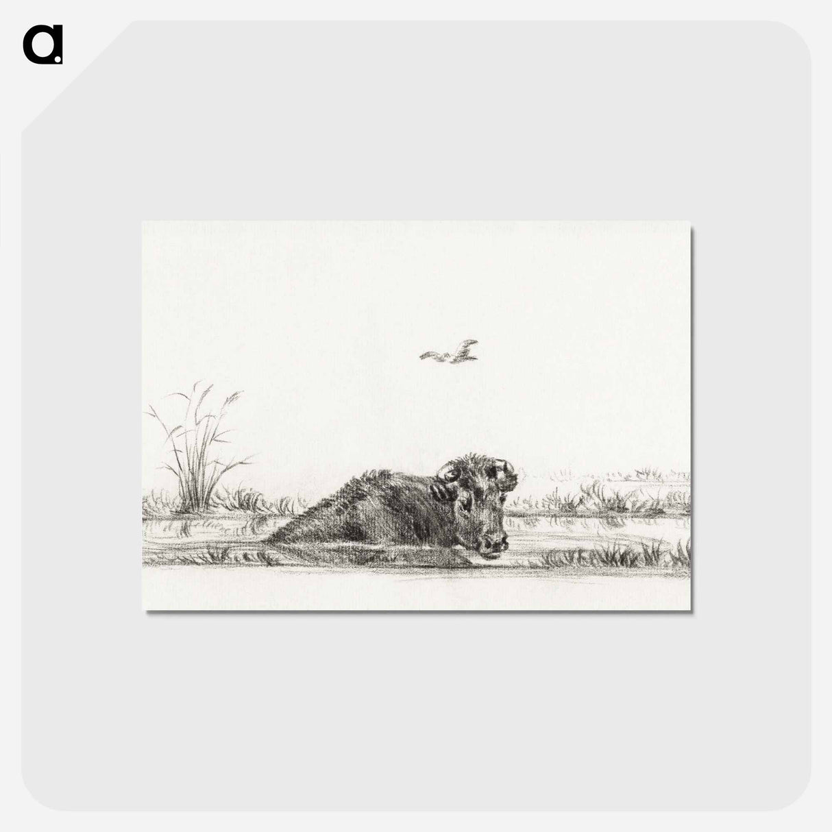 アートポストカード-Cow in the water - ジャン ベルナール Postcard.