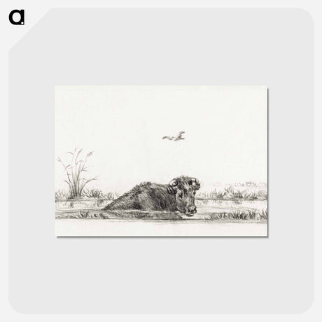 アートポストカード-Cow in the water - ジャン ベルナール Postcard.