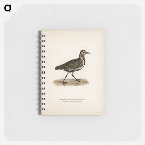 アートメモ帳-European Golden-Plover
 - スヴェンスカ フォグラル Memo.