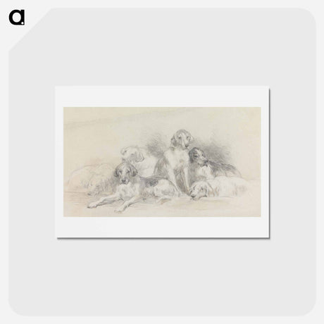 アートポストカード-Six Foxhounds Resting
 - イェール大学アートギャラリー Postcard.