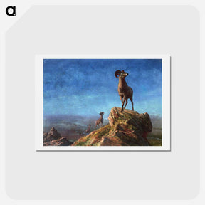 アートポストカード-Rocky Mountain Big Horns - アルバート ビアスタット Postcard.
