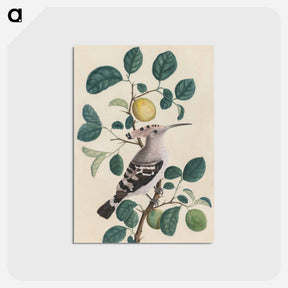 アートポストカード-Cleveland Museum of Art
 - クリーブランド美術館 Postcard.