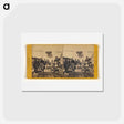アートポストカード-Japanese Performers at Woodward's Gardens
 - エドワード マイブリッジ Postcard.