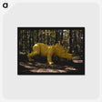 4-12_John-Margolies_postcard