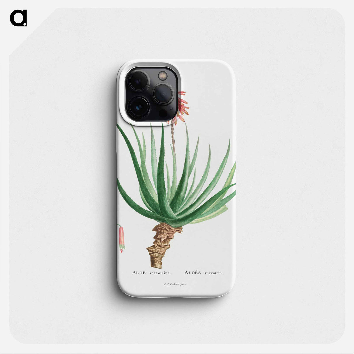 Aloe Socotrina - ピエール ジョゼフ ルドゥーテ Phone Case.