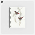 アートメモ帳-Fire-tailed Finch
 - オーストラリアの鳥 Memo.