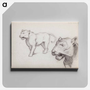 アートパネル-(unknown) part of a sketchbook - アルバート エーデルフェルト Canvas.