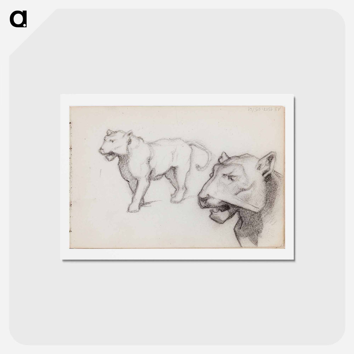 アートポストカード-(unknown) part of a sketchbook - アルバート エーデルフェルト Postcard.