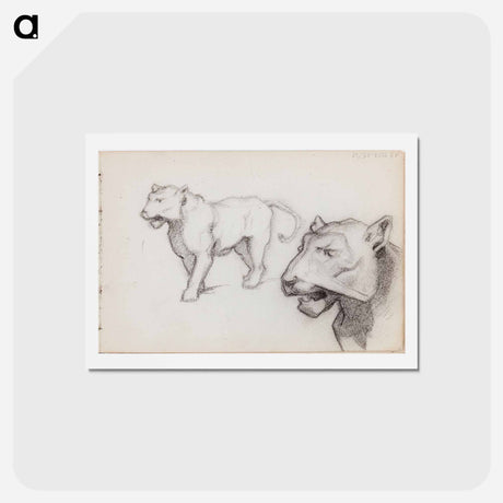 アートポストカード-(unknown) part of a sketchbook - アルバート エーデルフェルト Postcard.