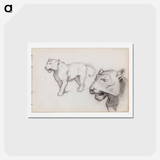 アートポストカード-(unknown) part of a sketchbook - アルバート エーデルフェルト Postcard.
