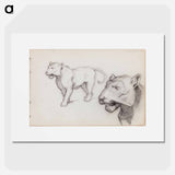 (unknown) part of a sketchbook - アルバート エーデルフェルト Poster.