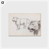 アートポストカード-(unknown) part of a sketchbook - アルバート エーデルフェルト Postcard.