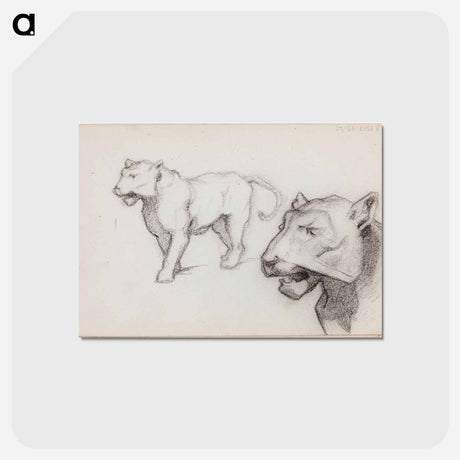 アートポストカード-(unknown) part of a sketchbook - アルバート エーデルフェルト Postcard.