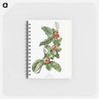 アートメモ帳-Cultivated Medlar
 - クリーブランド美術館 Memo.