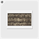 アートポストカード-Animal Locomotion
 - エドワード マイブリッジ Postcard.