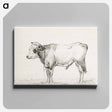アートパネル-Standing young bull - ジャン ベルナール Canvas.