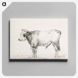 アートパネル-Standing young bull - ジャン ベルナール Canvas.