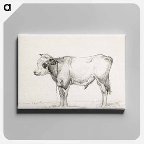 アートパネル-Standing young bull - ジャン ベルナール Canvas.