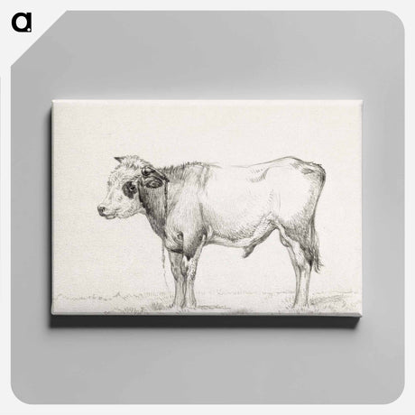 アートパネル-Standing young bull - ジャン ベルナール Canvas.