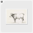 アートポストカード-Standing young bull - ジャン ベルナール Postcard.
