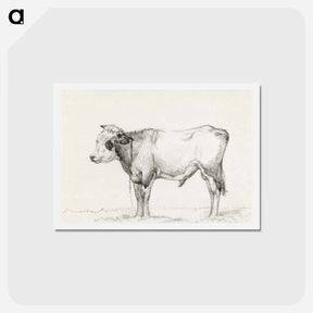 アートポストカード-Standing young bull - ジャン ベルナール Postcard.