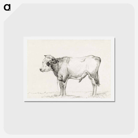 アートポストカード-Standing young bull - ジャン ベルナール Postcard.